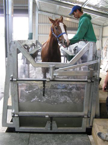 water treadmill