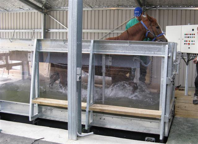 water treadmill