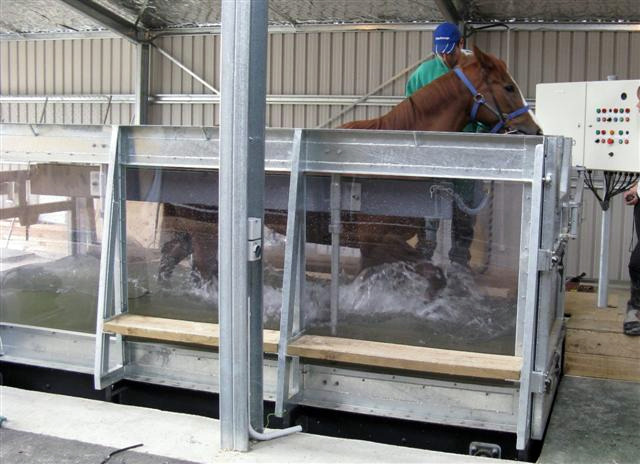 Water Treadmill at mangatiti Bloodstock